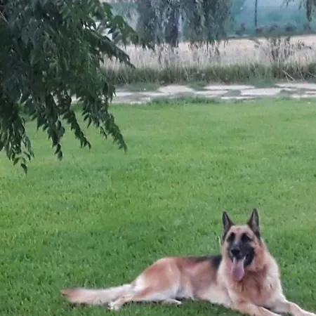 Casetta Sul Mare E Con Piscina Prázdninový dům *